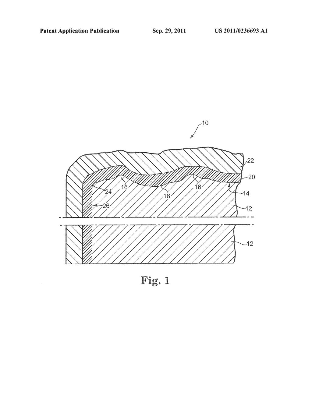 COATING SYSTEM FOR CEMENT COMPOSITE ARTICLES - diagram, schematic, and image 02