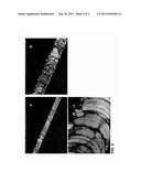 CORROSION RESISTANT COATINGS WITH MODIFIED METAL SALTS OF CORROSION     RESISTING ORGANIC ANIONS diagram and image