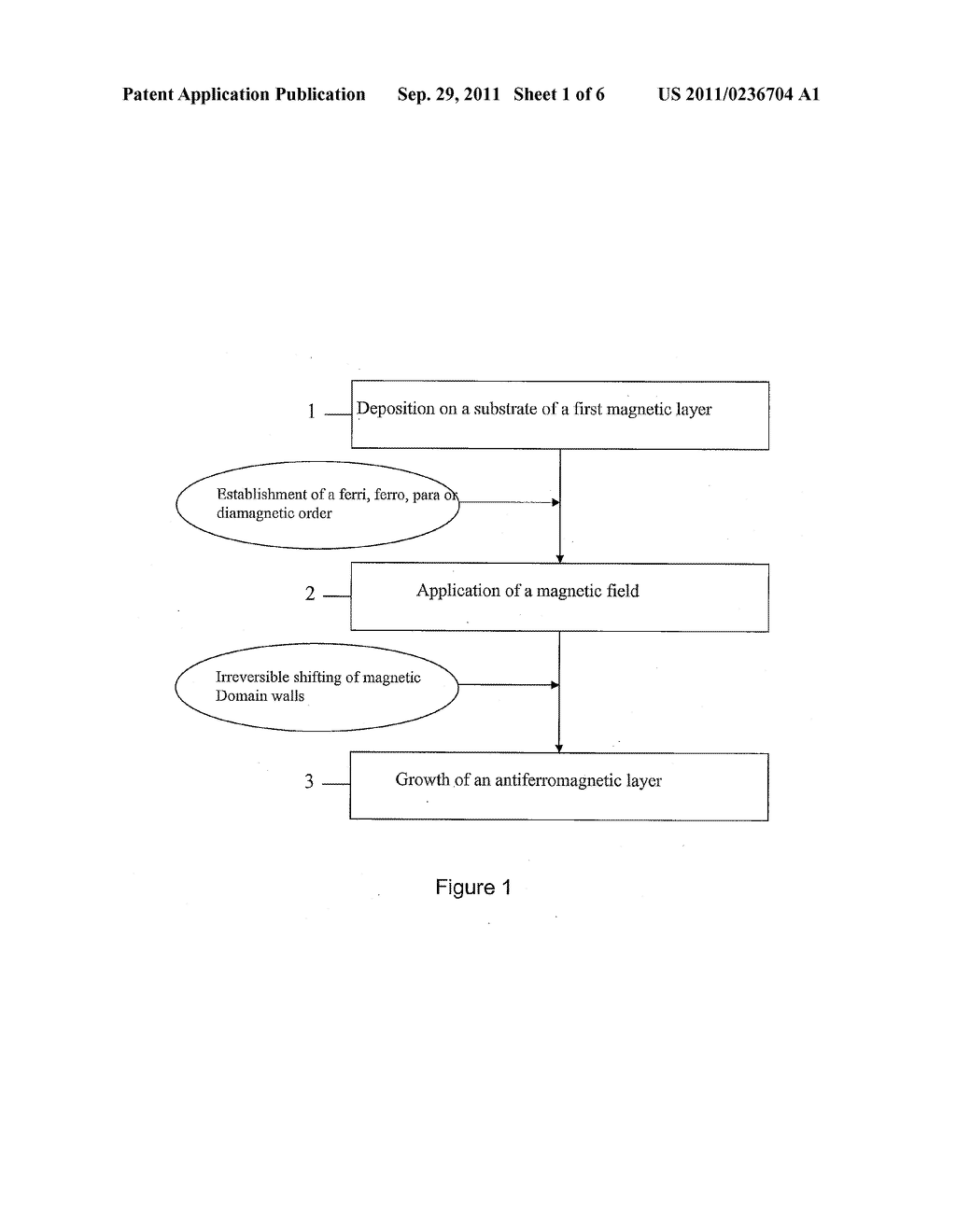 PROCESS FOR FABRICATING A LAYER OF AN ANTIFERROMAGNETIC MATERIAL WITH     CONTROLLED MAGNETIC STRUCTURES - diagram, schematic, and image 02