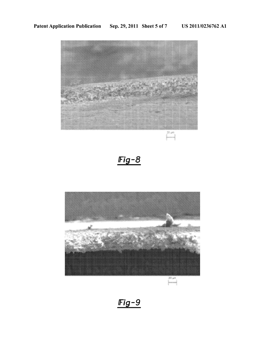 POROUS MEMBRANES AND METHODS OF MAKING THE SAME - diagram, schematic, and image 06