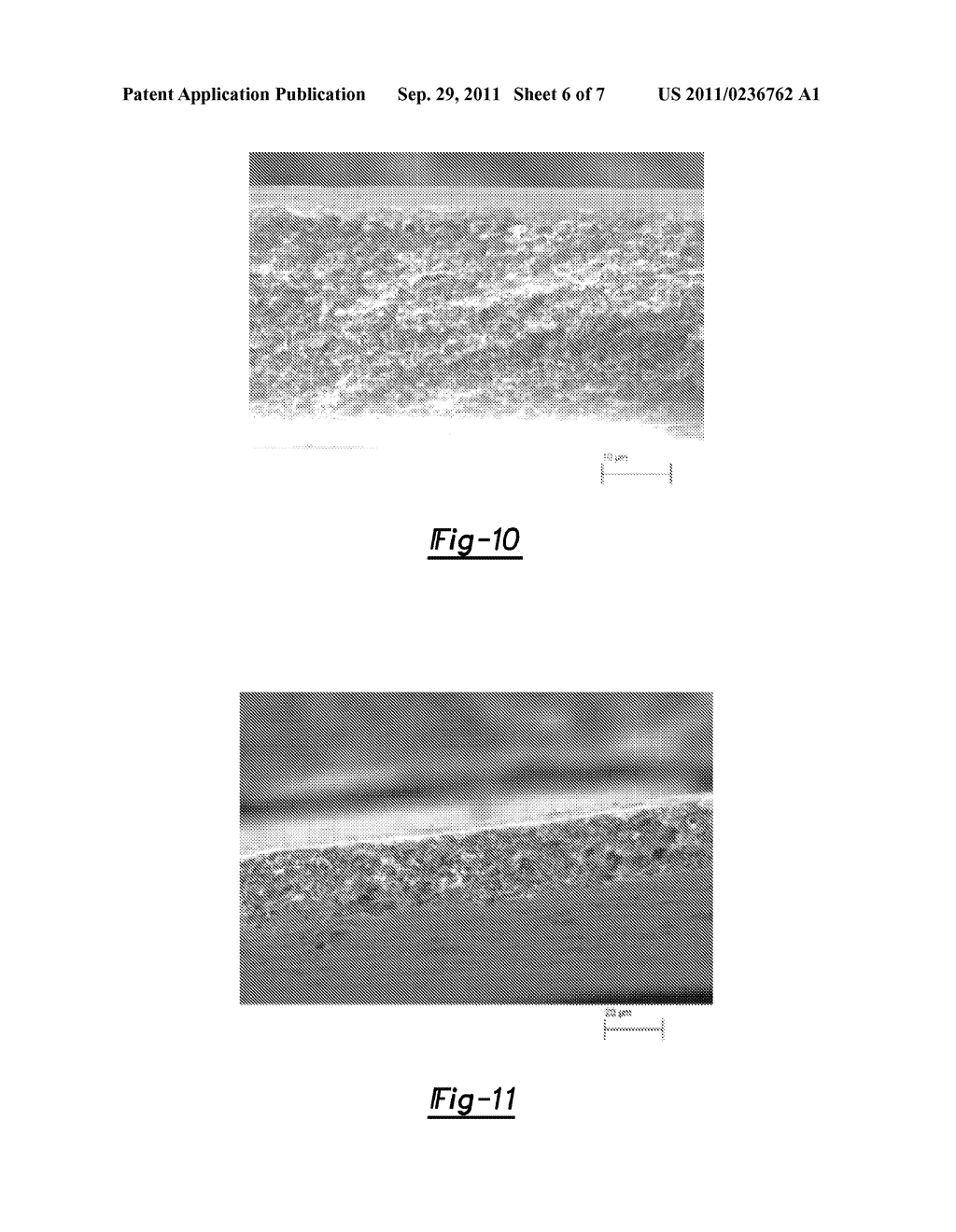 POROUS MEMBRANES AND METHODS OF MAKING THE SAME - diagram, schematic, and image 07