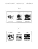 METHOD FOR SCREENING CATTLE, CATTLE SCREENED, AND CATTLE SCREENING KIT diagram and image