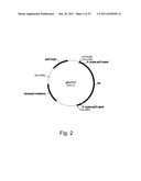 Methods for producing polypeptides in enzyme-deficient mutants of fusarium     venenatum diagram and image