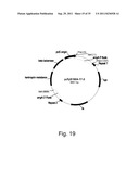 Methods for producing polypeptides in enzyme-deficient mutants of fusarium     venenatum diagram and image