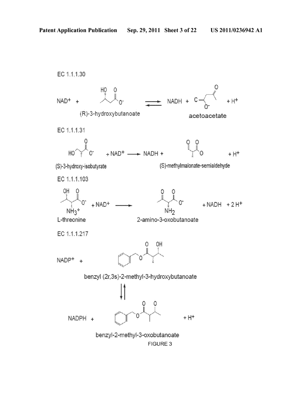 Reduced by-product accumulation for improved production of isobutanol - diagram, schematic, and image 04