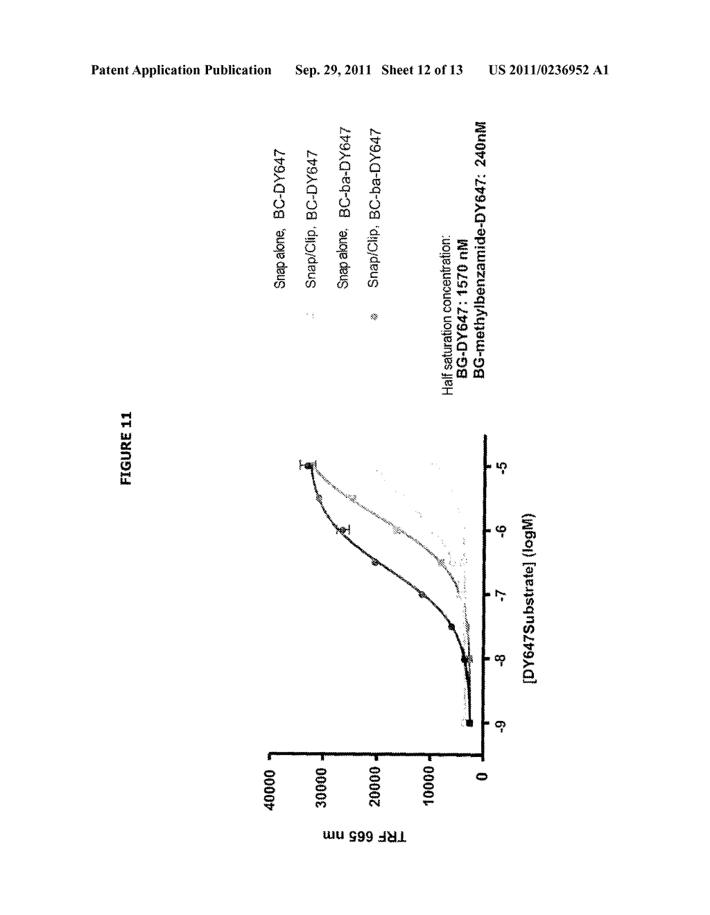 NOVEL SUBSTRATES OF O6-ALKYLGUANINE-DNA ALKYLTRANSFERASE AND MUTANTS     THEREOF - diagram, schematic, and image 13