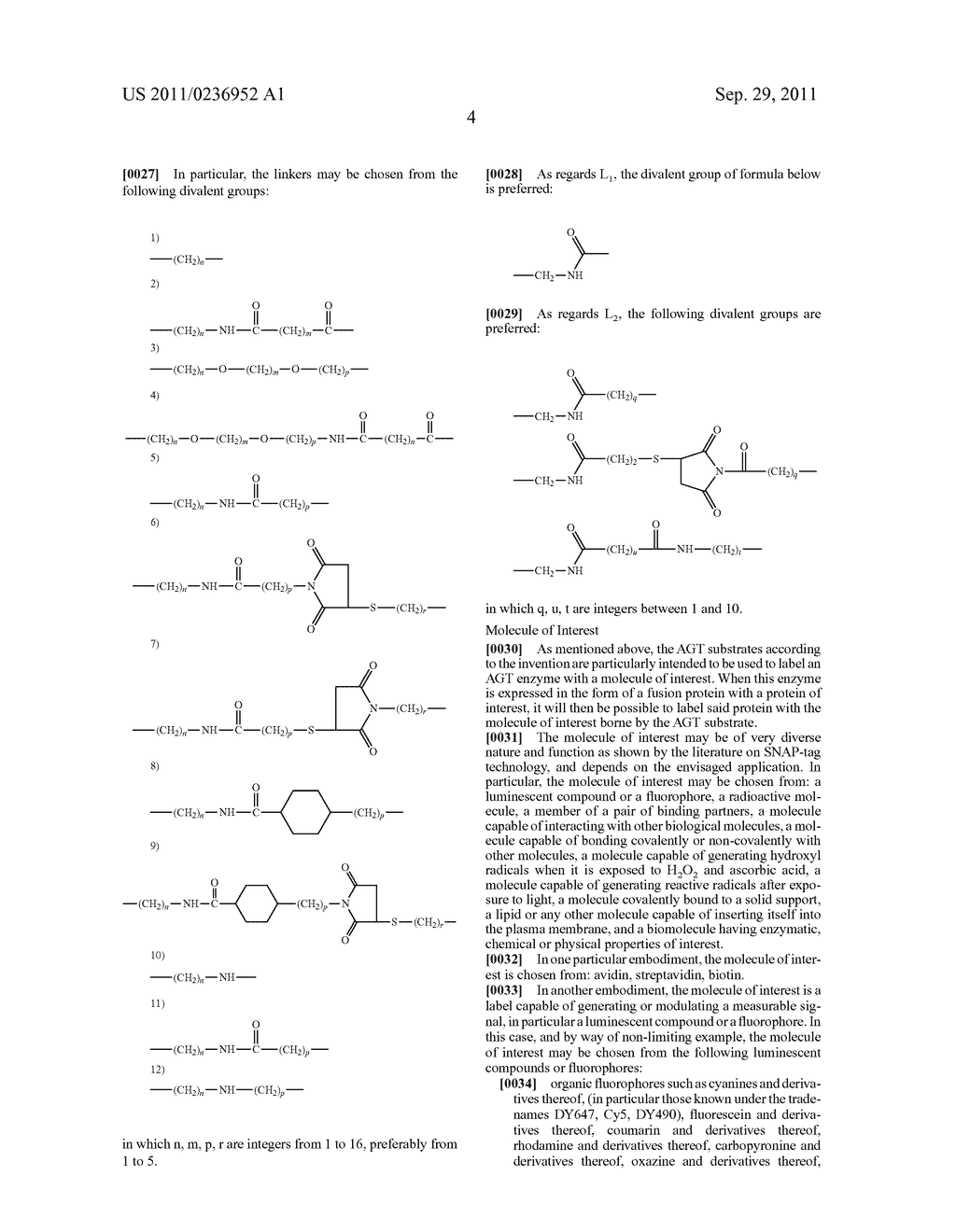 NOVEL SUBSTRATES OF O6-ALKYLGUANINE-DNA ALKYLTRANSFERASE AND MUTANTS     THEREOF - diagram, schematic, and image 18
