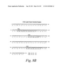 HUMANIZED ANTIBODIES AGAINST MONOCYTE CHEMOTACTIC PROTEINS diagram and image