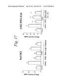 HUMANIZED ANTIBODIES AGAINST MONOCYTE CHEMOTACTIC PROTEINS diagram and image