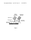 Methods and Reagents for Shortening Incubation Times in Hybridization     Assays diagram and image