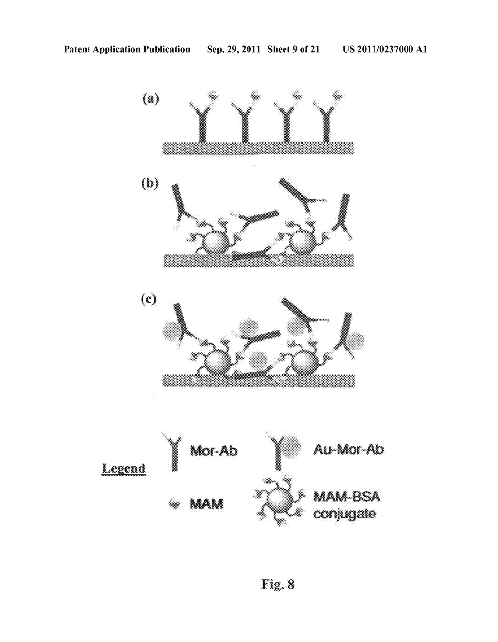 Method for detecting an analyte molecule - diagram, schematic, and image 10