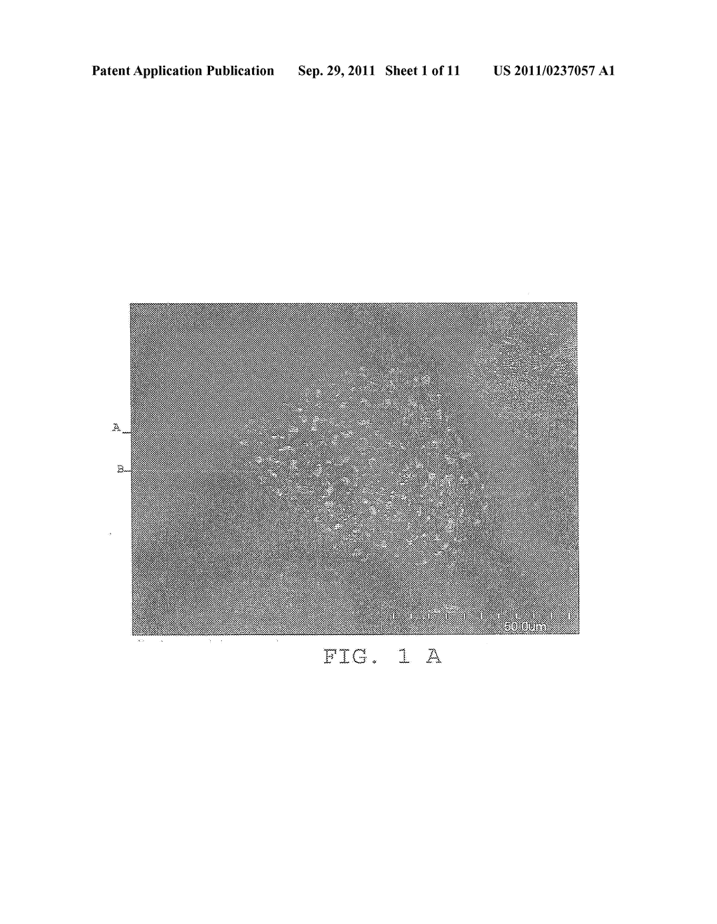 SYSTEMS AND METHODS FOR CO-DOPING WIDE BAND GAP MATERIALS - diagram, schematic, and image 02