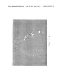 SYSTEMS AND METHODS FOR CO-DOPING WIDE BAND GAP MATERIALS diagram and image