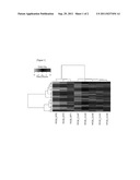 MARKER FOR DIAGNOSIS OF EXPOSURE TO ELECTROMAGNETIC RADIATION AND     DIAGNOSTIC KIT COMPRISING THE SAME diagram and image