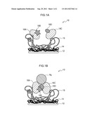 IMMOBILIZATION SUBSTRATE AND METHOD FOR PRODUCING THE SAME diagram and image