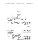 IMMOBILIZATION SUBSTRATE AND METHOD FOR PRODUCING THE SAME diagram and image