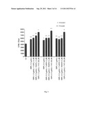 PLANT-DERIVED ELASTIN BINDING PROTEIN LIGANDS AND METHODS OF USING THE     SAME diagram and image