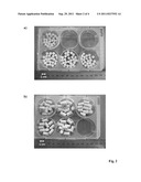 Composite Material Consisting of a Collagen Matrix Mineralised with     Silicate and Calcium Phosphate Phases, Method for the Production and Use     Thereof diagram and image