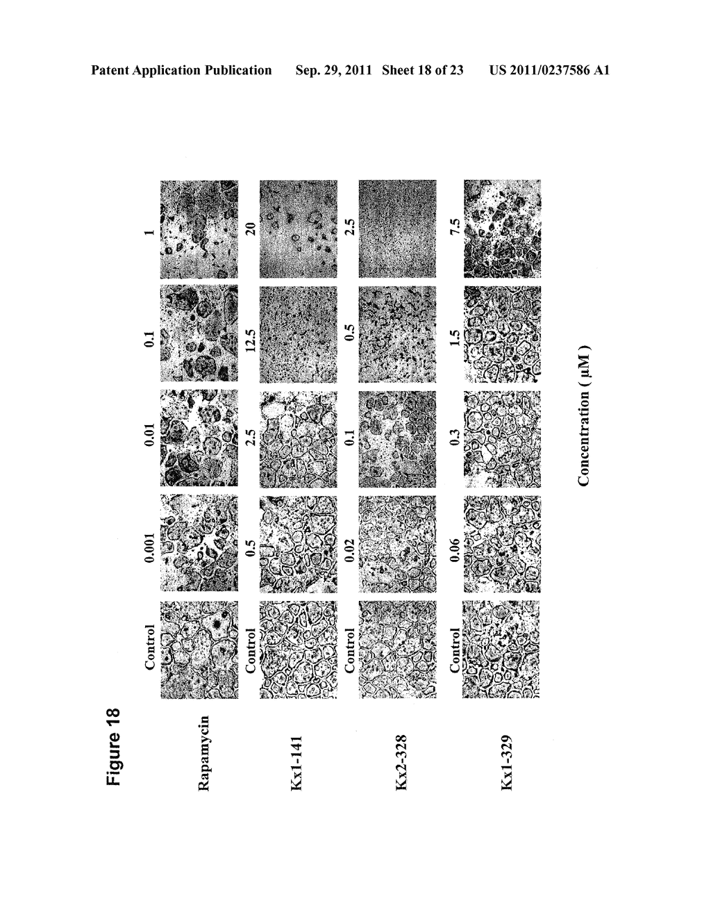 BIARYL COMPOSITIONS AND METHODS FOR MODULATING A KINASE CASCADE - diagram, schematic, and image 19