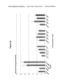 BIARYL COMPOSITIONS AND METHODS FOR MODULATING A KINASE CASCADE diagram and image