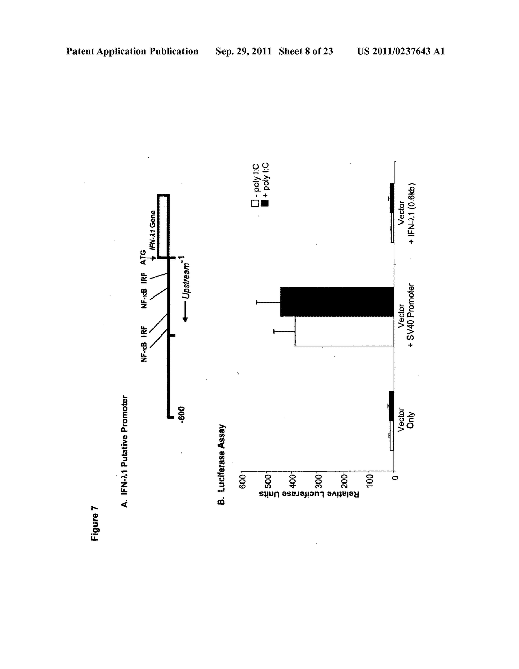 Identification of a Novel repressor on IFN-lambda promoter and siRNA     against ZEB1 and BLIMP-1 to increase IFN-lambda gene activity - diagram, schematic, and image 09