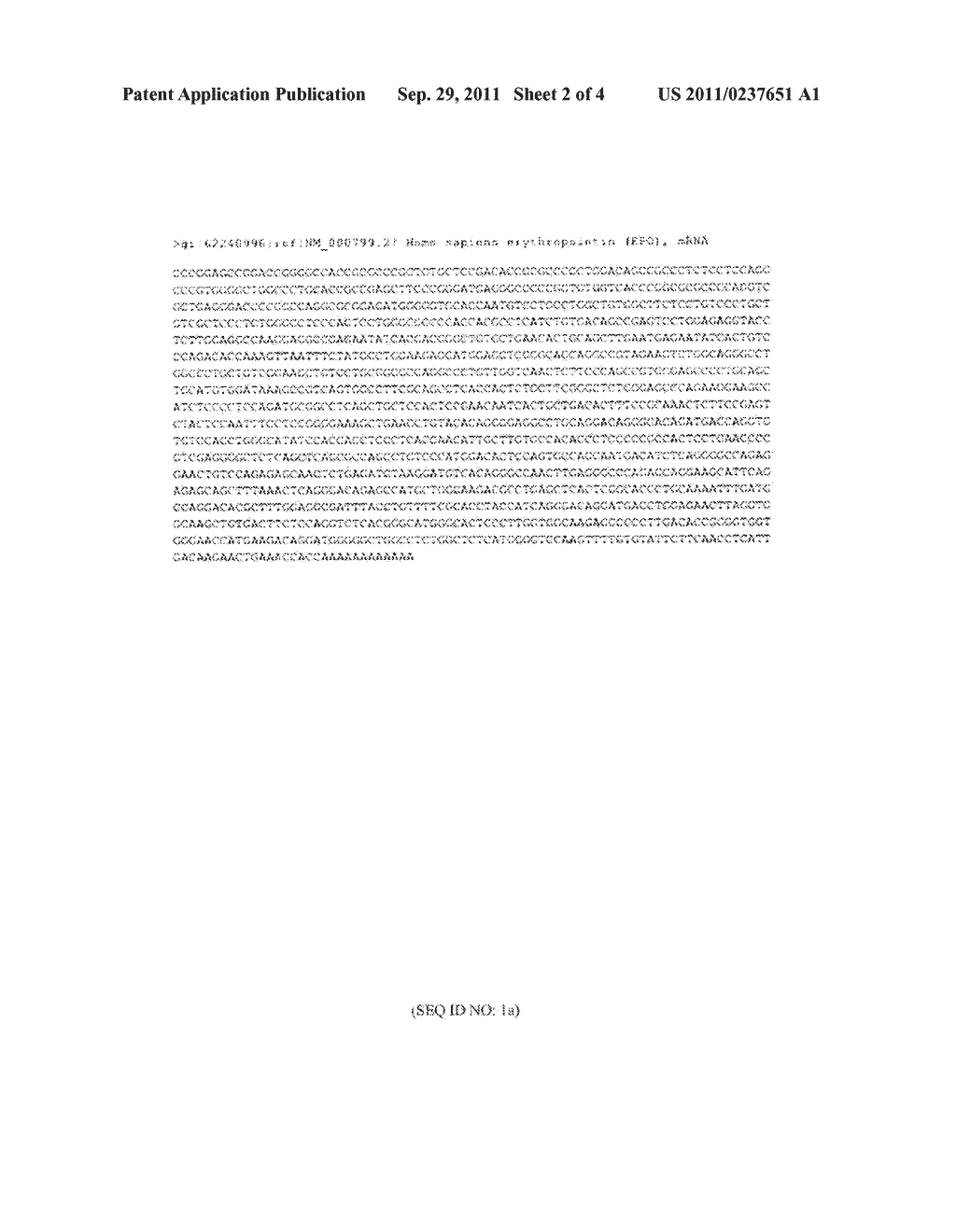 TREATMENT OF ERYTHROPOIETIN (EPO) RELATED DISEASES BY INHIBITION OF     NATURAL ANTISENSE TRANSCRIPT TO EPO - diagram, schematic, and image 03