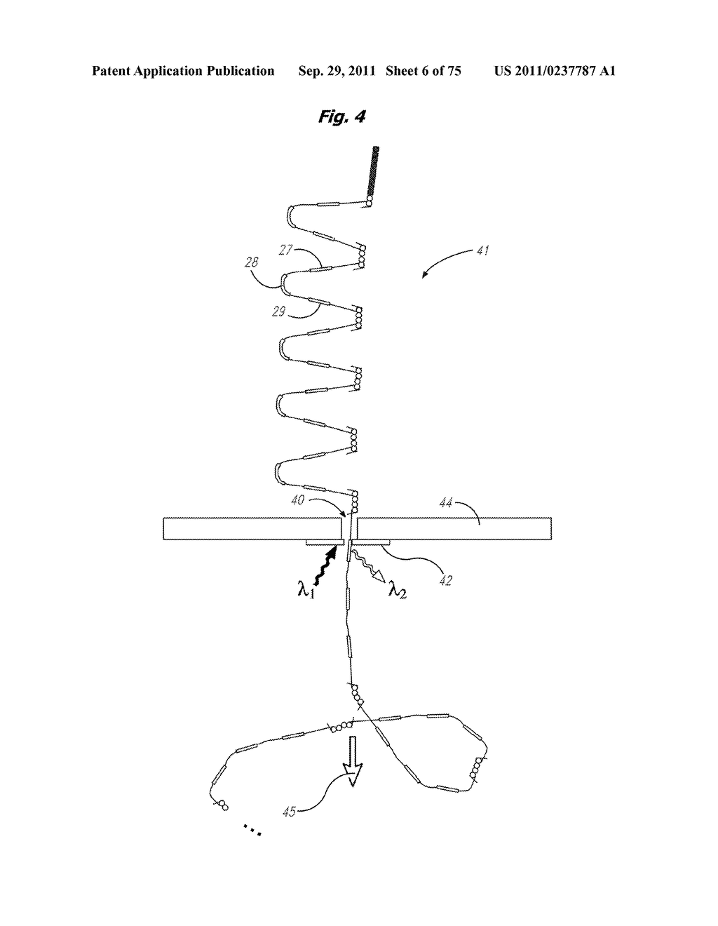 HIGH THROUGHPUT NUCLEIC ACID SEQUENCING BY EXPANSION - diagram, schematic, and image 07