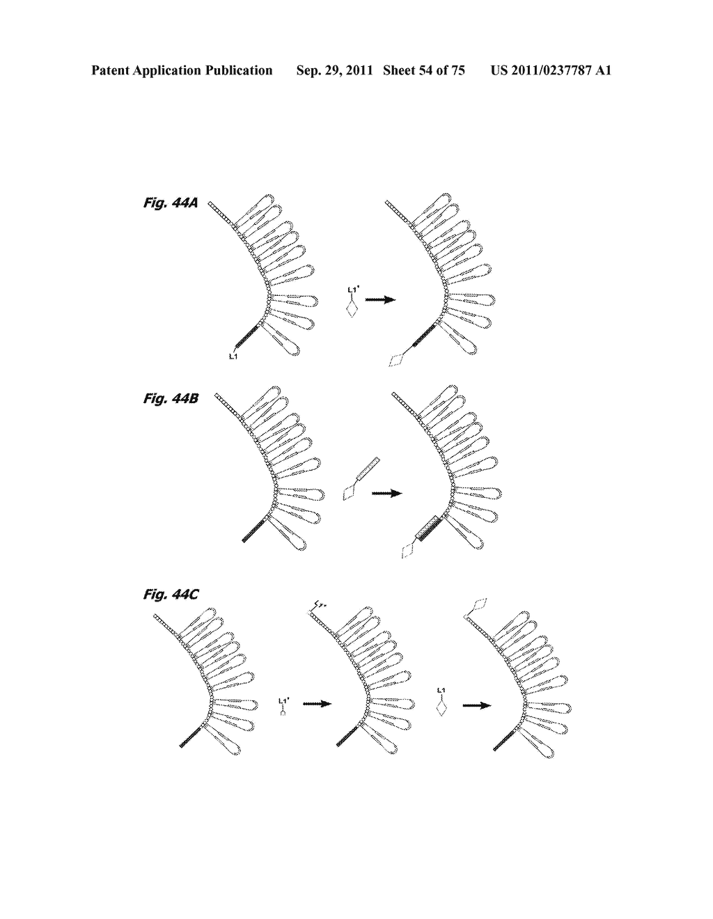 HIGH THROUGHPUT NUCLEIC ACID SEQUENCING BY EXPANSION - diagram, schematic, and image 55