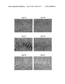 POLYMER-CONJUGATED ALBUMIN HYDROGELS FOR CONTROLLED RELEASE OF THERAPEUTIC     AGENTS diagram and image