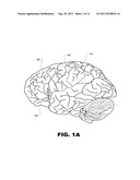 TREATMENT OF OBESITY AND/OR TYPE II DIABETES BY STIMULATION OF THE     PITUITARY GLAND diagram and image