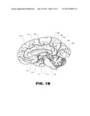 TREATMENT OF OBESITY AND/OR TYPE II DIABETES BY STIMULATION OF THE     PITUITARY GLAND diagram and image