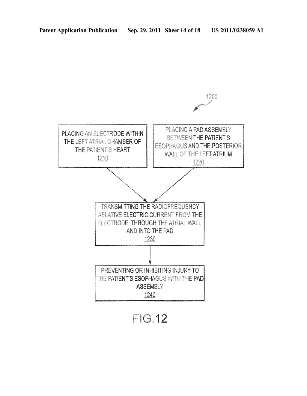 PROTECTIVE SYSTEMS AND METHODS FOR USE DURING ABLATION PROCEDURES - diagram, schematic, and image 15