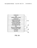 ARTIFICIAL RETINA DEVICE WITH STIMULATING AND GROUND RETURN ELECTRODES     DISPOSED ON OPPOSITE SIDES OF THE NEURORETINA AND METHOD OF ATTACHMENT diagram and image