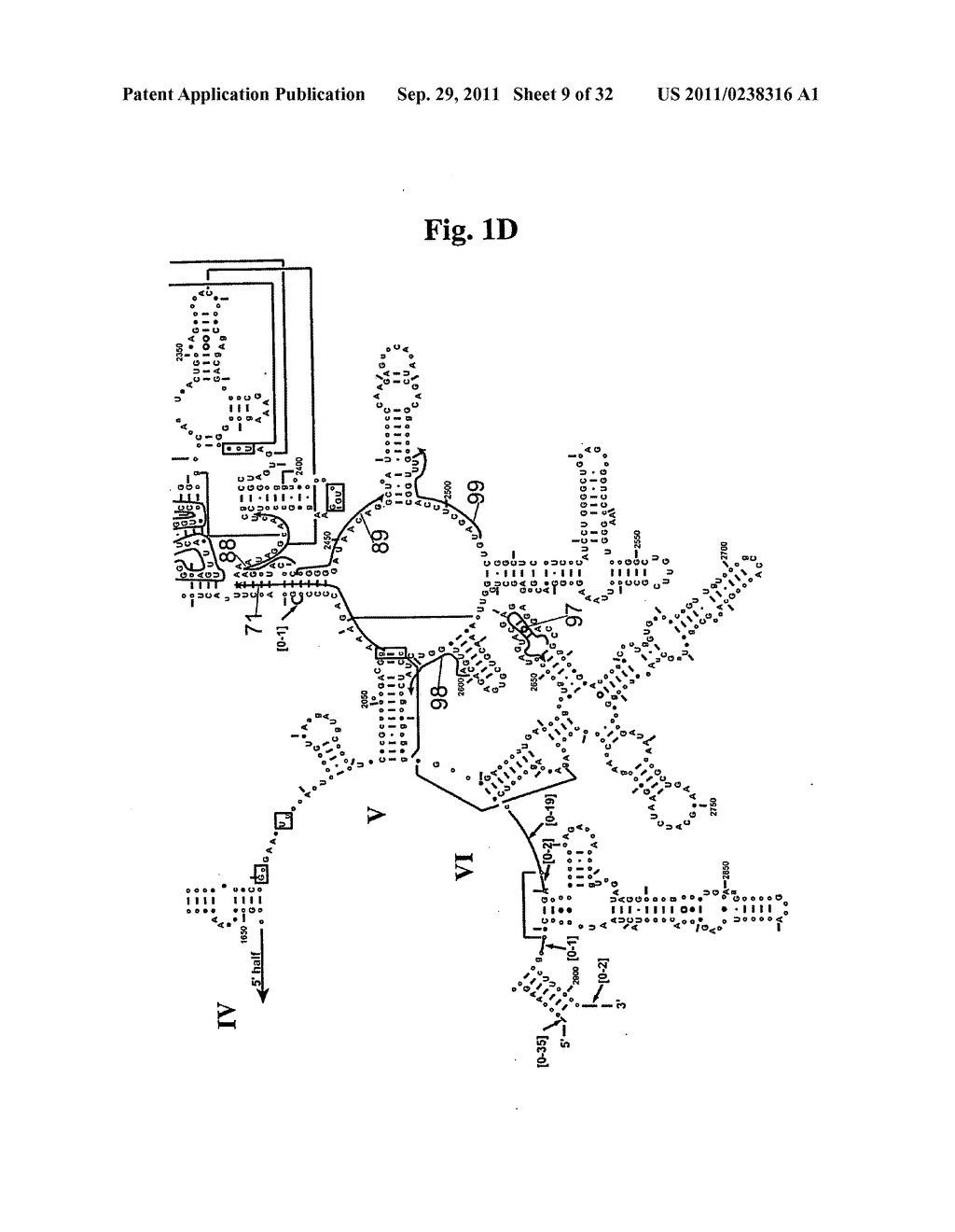 SECONDARY STRUCTURE DEFINING DATABASE AND METHODS FOR DETERMINING IDENTITY     AND GEOGRAPHIC ORIGIN OF AN UNKNOWN BIOAGENT THEREBY - diagram, schematic, and image 10