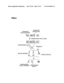 STORAGE APPARATUS AND DATA PROCESSING METHOD FOR THE SAME diagram and image