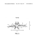 Method and Apparatus for Stimulating Wells with Propellants diagram and image