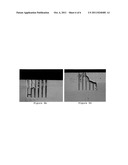 SEED LAYER DEPOSITION IN MICROSCALE FEATURES diagram and image