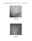 BLOCK COPOLYMER MEMBRANES AND ASSOCIATED METHODS FOR MAKING THE SAME diagram and image