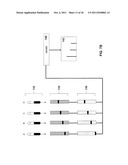 Methods and Systems for the Quantitative Analysis of Biomarkers diagram and image