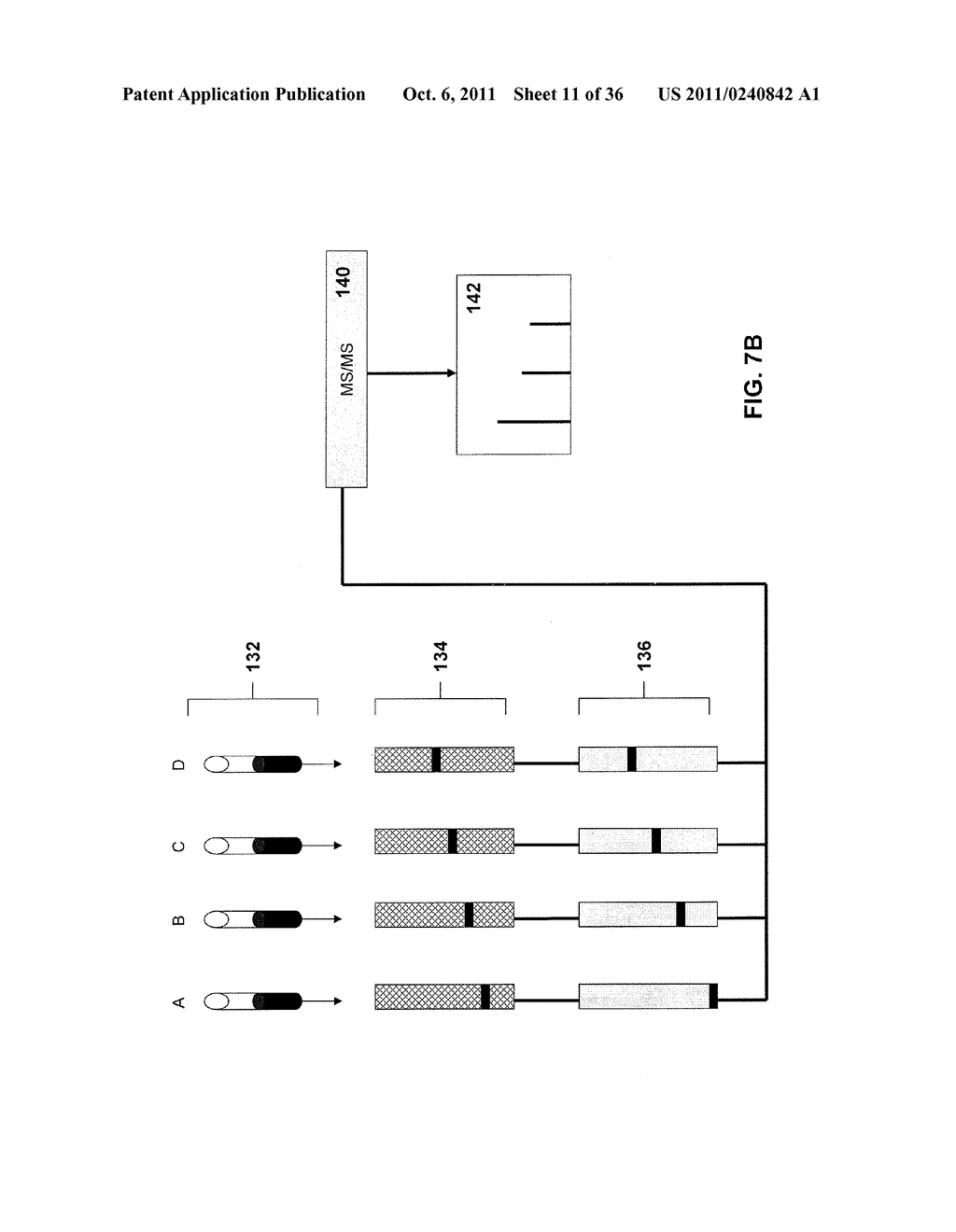 Methods and Systems for the Quantitative Analysis of Biomarkers - diagram, schematic, and image 12