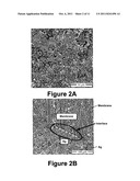 Polymer Metal Composite Membranes diagram and image