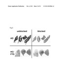 BENZOTHIAZOLE AMIDES FOR DETECTION OF AMYLOID BETA diagram and image