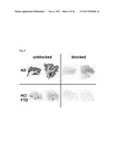 BENZOTHIAZOLE AMIDES FOR DETECTION OF AMYLOID BETA diagram and image