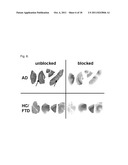 BENZOTHIAZOLE AMIDES FOR DETECTION OF AMYLOID BETA diagram and image