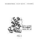 HEME-BINDING PHOTOACTIVE POLYPEPTIDES AND METHODS OF USE THEREOF diagram and image