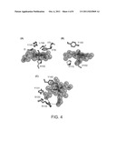 HEME-BINDING PHOTOACTIVE POLYPEPTIDES AND METHODS OF USE THEREOF diagram and image