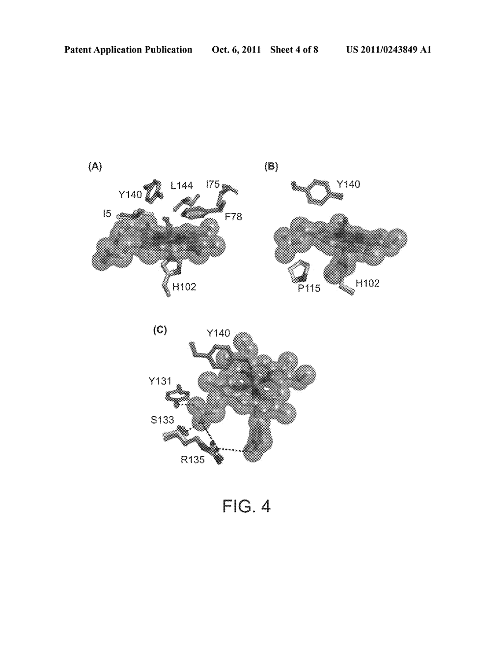 HEME-BINDING PHOTOACTIVE POLYPEPTIDES AND METHODS OF USE THEREOF - diagram, schematic, and image 05