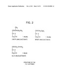 BIOCOMPATIBLE POLYMERS, PROCESS FOR THEIR PREPARATION AND COMPOSITIONS     CONTAINING THEM diagram and image