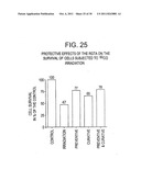 BIOCOMPATIBLE POLYMERS, PROCESS FOR THEIR PREPARATION AND COMPOSITIONS     CONTAINING THEM diagram and image