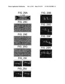 BIOCOMPATIBLE POLYMERS, PROCESS FOR THEIR PREPARATION AND COMPOSITIONS     CONTAINING THEM diagram and image
